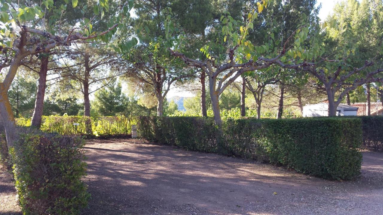 Montsant Park Camping & Bungalow Ulldemolins Kültér fotó