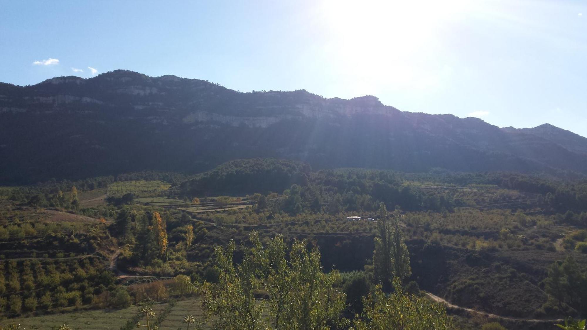 Montsant Park Camping & Bungalow Ulldemolins Kültér fotó