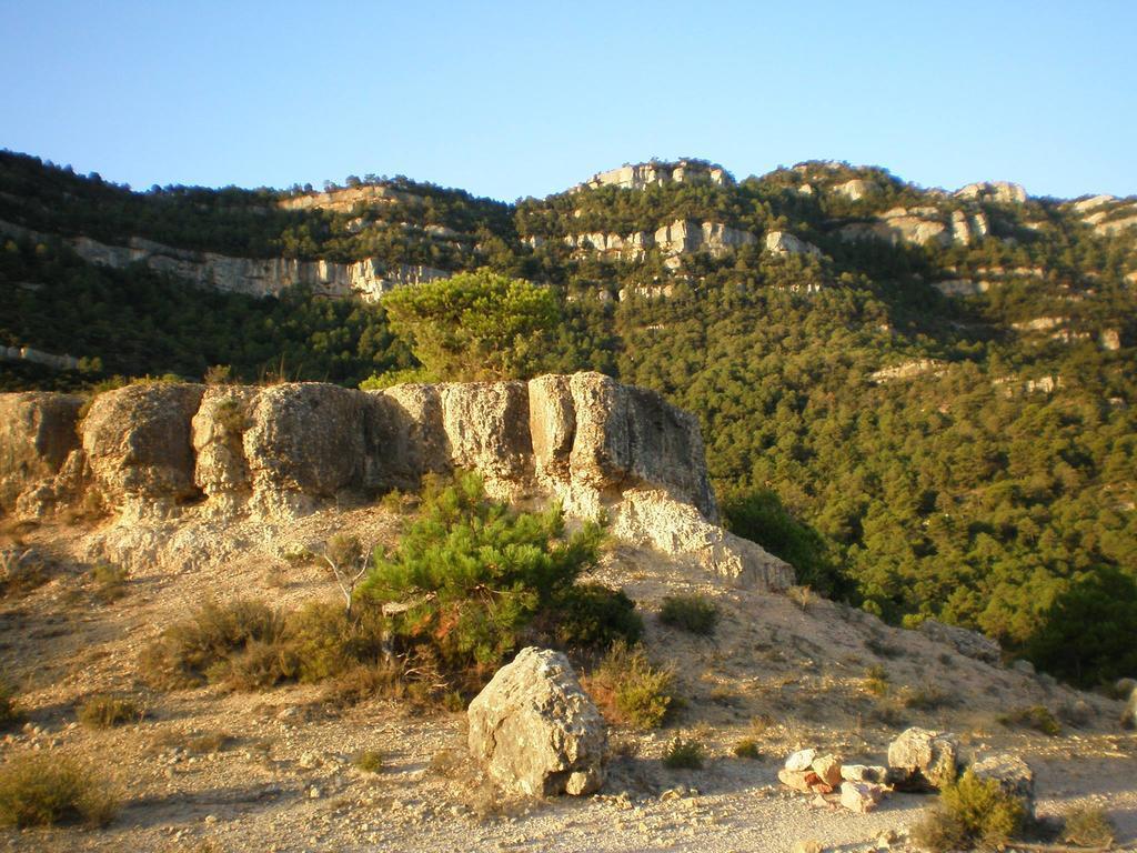 Montsant Park Camping & Bungalow Hotel Ulldemolins Kültér fotó