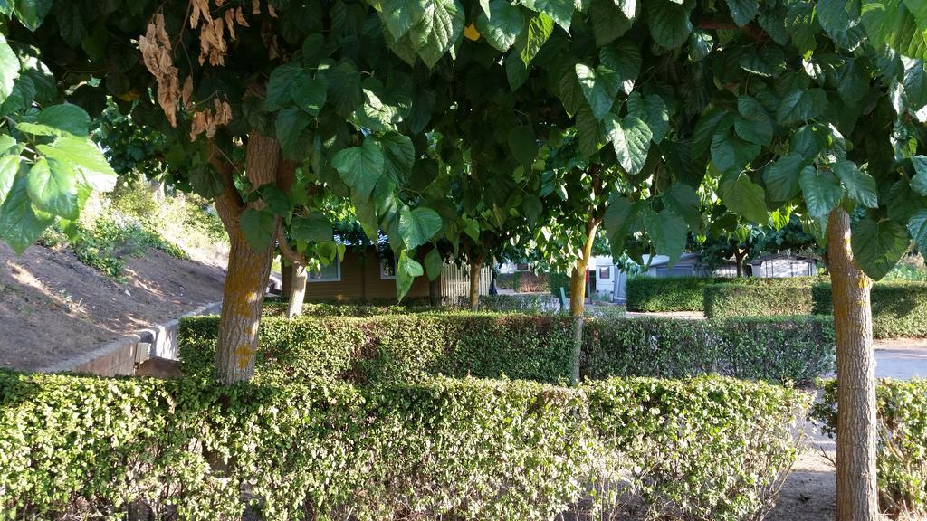 Montsant Park Camping & Bungalow Ulldemolins Kültér fotó