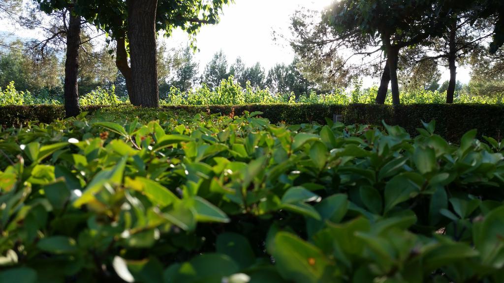 Montsant Park Camping & Bungalow Ulldemolins Kültér fotó